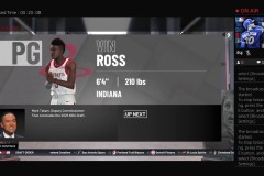 NBA双星闪耀国际赛场，东契奇、扬尼斯率队胜利荣耀时刻